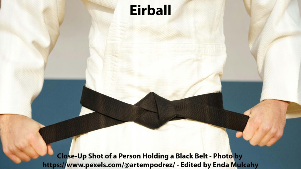 Close-Up Shot of a Person Holding a Black Belt